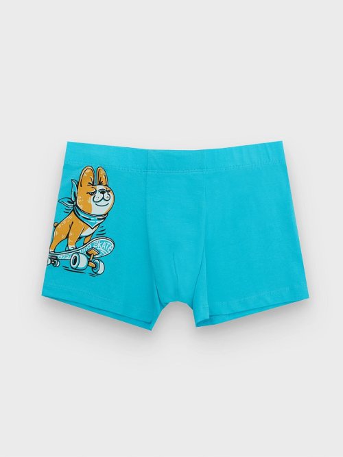 Трусы для мальчиков синие с принтом, фото 1 из 9