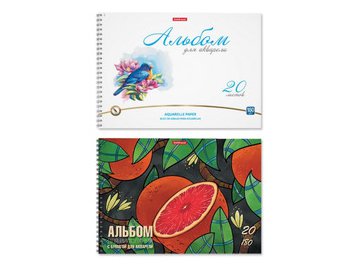Альбом для акварели Erich Krause Birds и Juicy Fruits 63893 (2х20л)