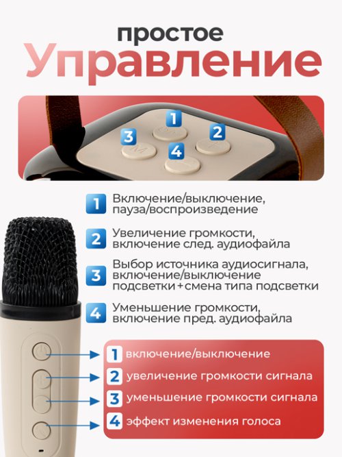 Портативное караоке Y-1, фото 7 из 51