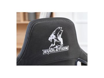 Игровое кресло Evolution Nomad (черный/белый) 5 элемент