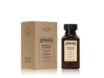 Парфюмерная вода DILIS Growland Mystic Stone для мужчин, 100 мл