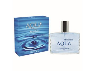 Вода туалетная AQUA Minerale для мужчин, 100 мл