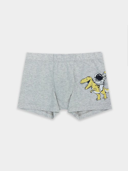 Трусы для мальчиков серые с принтом, фото 1 из 9