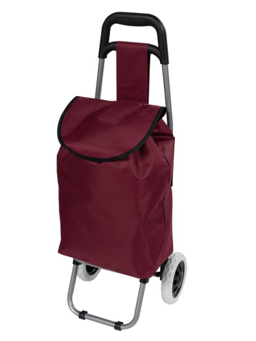 Сумка хозяйственная FST-2, фото 22 из 30