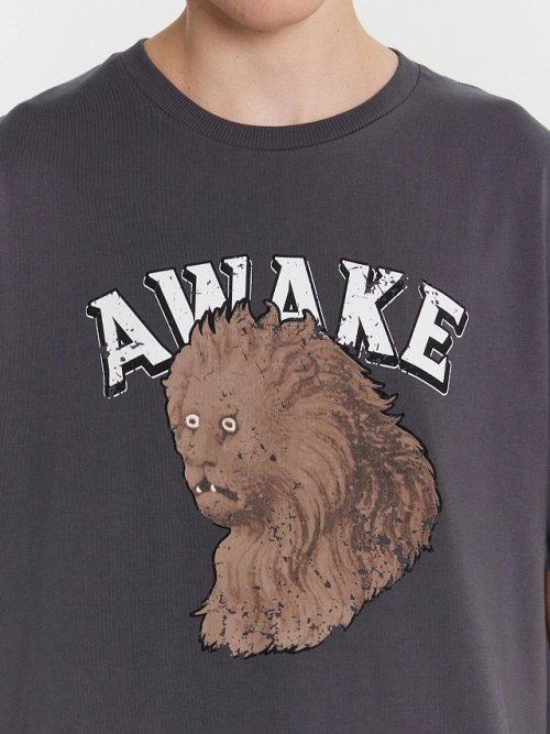 Футболка мужская коричневая с принтом "Awake", фото 4 из 5