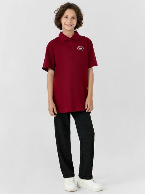 Поло для мальчиков бордовое, фото 3 из 10