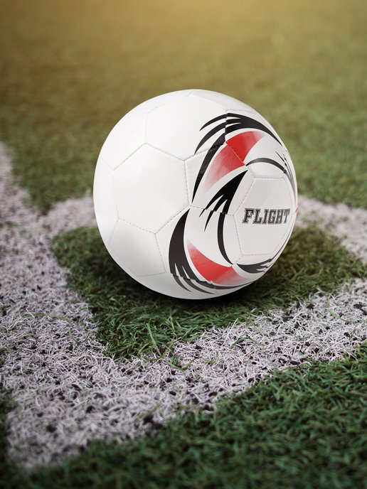Мяч футбольный Flight, фото 2 из 288