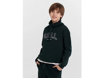 Джемпер для мальчиков зеленый с принтом "G.O.A.L" Марк Формель