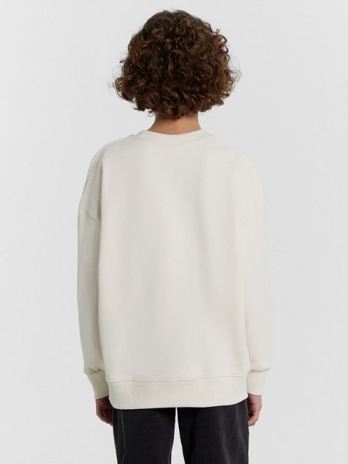 Свитшот для мальчиков бело-бежевый с печатью, фото 6 из 7