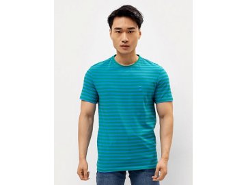 Футболка мужская в зелено-голубую полоску в Лепеле Марк Формель