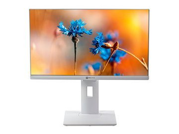 Моноблок Тесла P24WP 2416500
