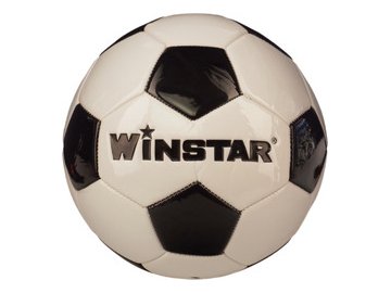 Футбольный мяч Winstar WN11008