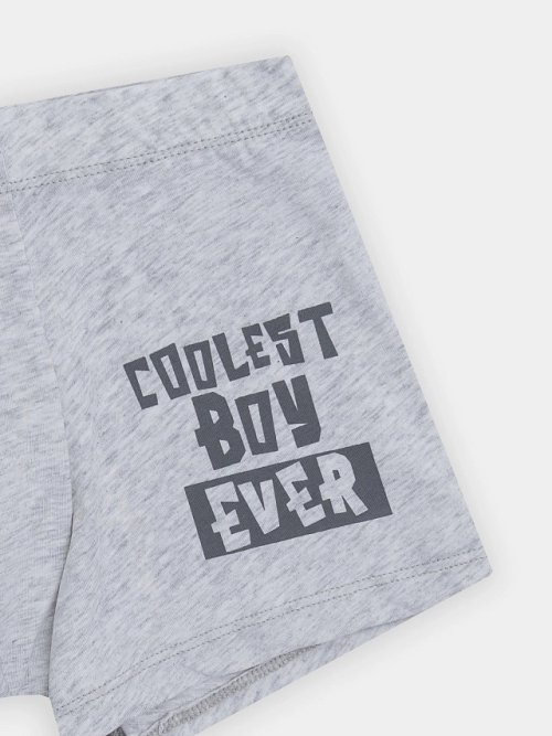 Трусы для мальчиков серые с надписью "Coolest boy ever", фото 3 из 3