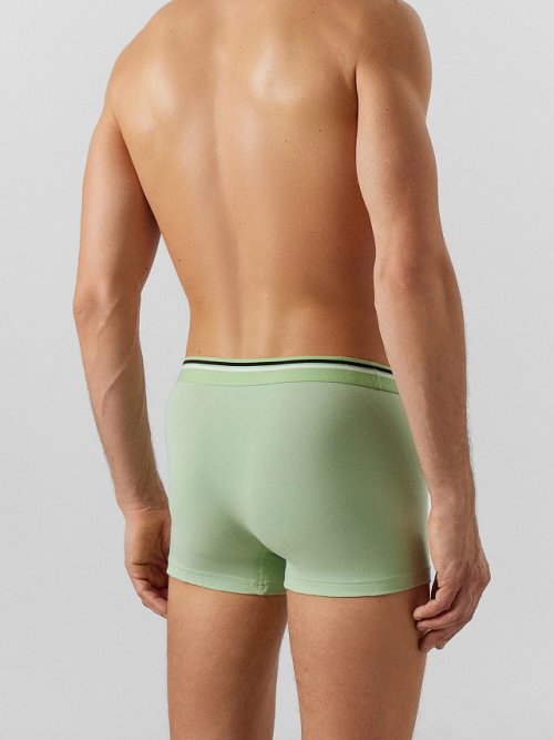 Трусы боксеры мужские салатовые, фото 5 из 21