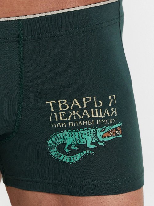 Трусы боксеры мужские зеленые с принтом "Тварь я лежащая или планы имею?", фото 3 из 10