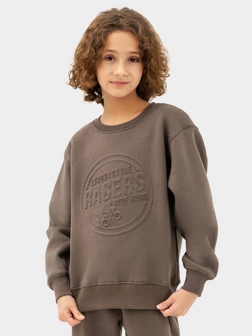 Джемпер для мальчиков коричневый с печатью, фото 1 из 8