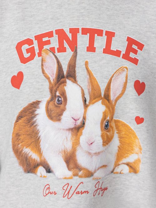 Худи для девочек серое с принтом и надписью "gentle", фото 5 из 42