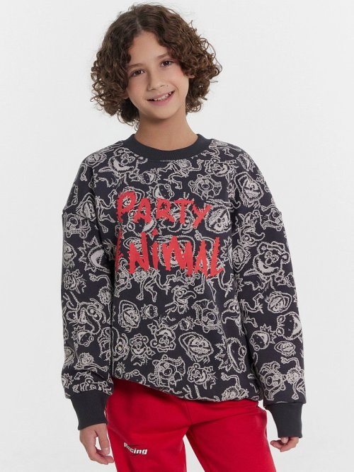 Свитшот для мальчиков серый с принтом и надписью "Party animal", фото 1 из 5