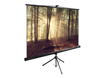 Экран CACTUS TriExpert CS-PSTE-180X135-BK