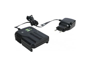 Зарядное устройство Greenworks G24UC2 2946207 (24В)