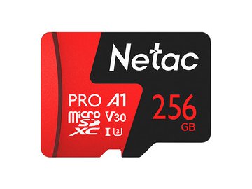 Карта памяти Netac P500 Extreme Pro 256GB NT02P500PRO-256G-S