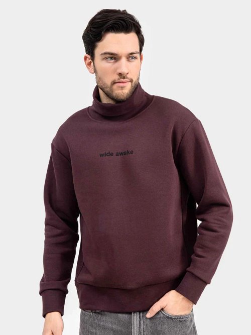 Стильный джемпер мужской с воротником-стойкой в цвете "бордо" с печатью, фото 1 из 4