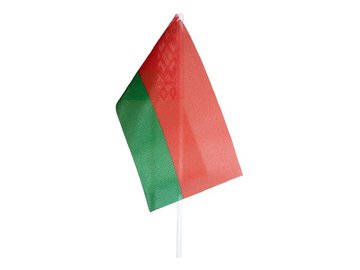 Флаг Республики Беларусь 120х240 мм