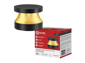 Светильник уличный светодиодный на столб INhome ТБУ-CITY LID-25BL 25Вт