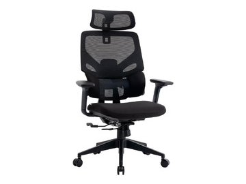 Кресло компьютерное EVOLUTION LumbarPro