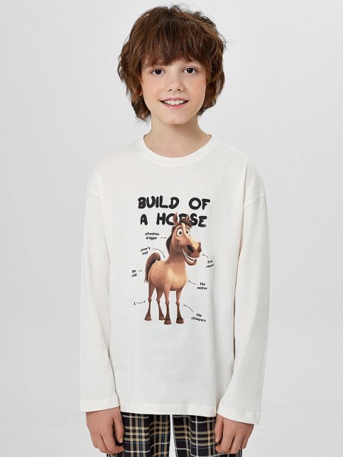 Комплект для мальчиков с надписью "Build of a horse", фото 3 из 8