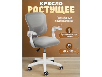 Кресло компьютерное Young из каталога Ами