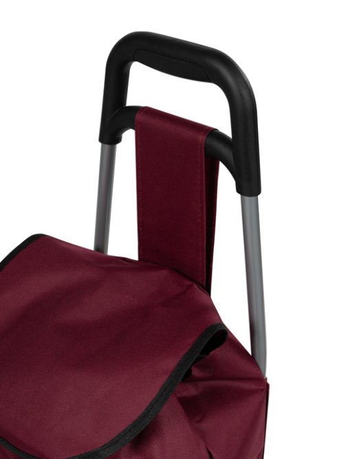 Сумка хозяйственная FST-2, фото 26 из 30