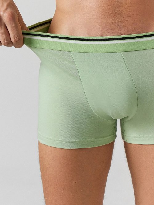 Трусы боксеры мужские салатовые, фото 4 из 21