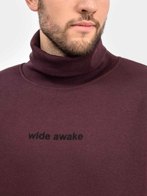 Стильный джемпер мужской с воротником-стойкой в цвете "бордо" с печатью, фото 4 из 4