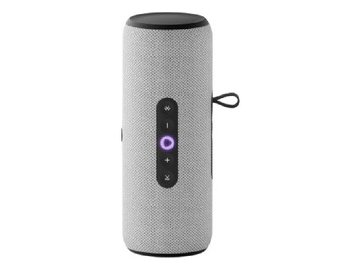 Портативная Умная колонка Яндекс.Станция Стрит YNDX-00030GRY (серый)