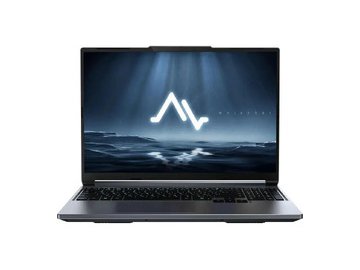 Игровой ноутбук Maibenben X-Treme Typhoon X16C X16C-i737560FERLG4E10 Win11Pro