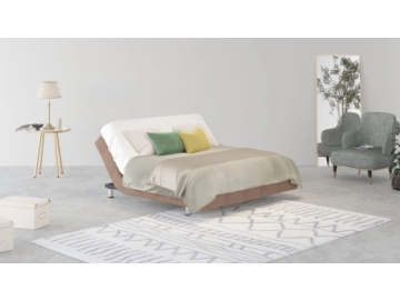 Комплект Ergomotion 450 Beige + матрас Technology ERGO COMFORT