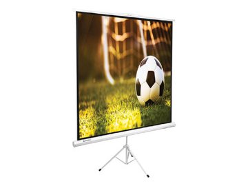 Экран проекционный на треноге BRAUBERG TRIPOD (150х150см), матовый