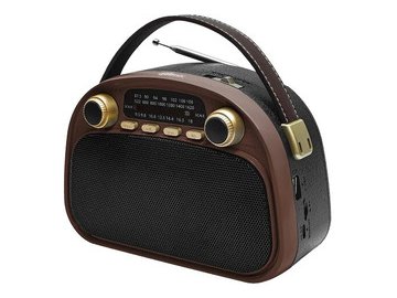 Радиоприемник Ritmix RPR-040 (шоколадный)
