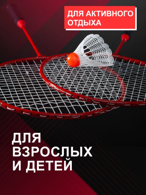 Набор для бадминтона Flight, фото 3 из 30
