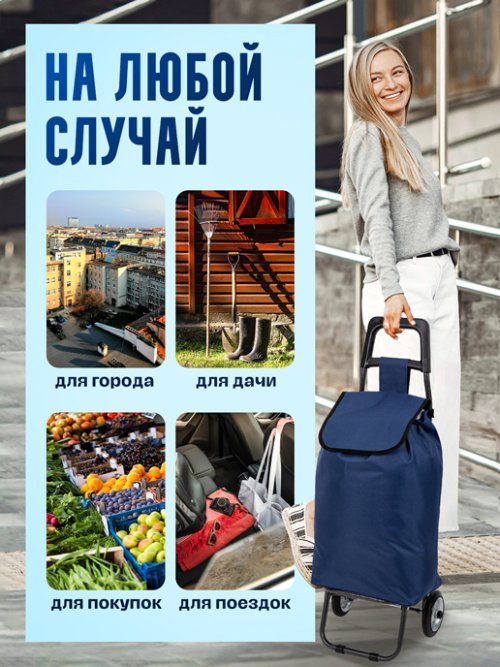 Сумка хозяйственная FST-3, фото 6 из 54