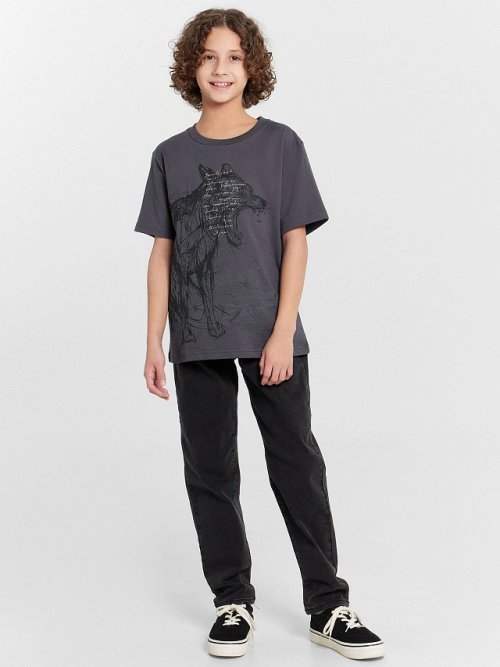 Футболка для мальчиков серая с принтом "Заповедный напев...", фото 3 из 5