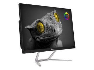 Моноблок Тесла Z24B 2108500