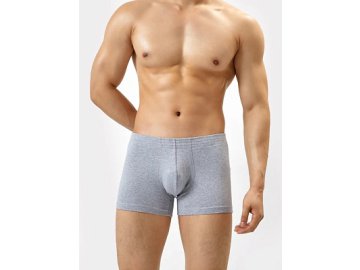 Мужские трусы-боксеры в сером цвете с принтом Марк Формель