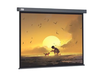 Проекционный экран CACTUS Wallscreen CS-PSW-124X221-SG