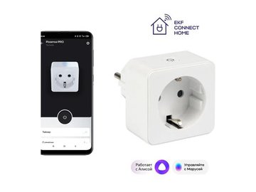 Умная розетка EKF Сonnect Wi-Fi RCS-1-WF в Светлогорске 5 элемент