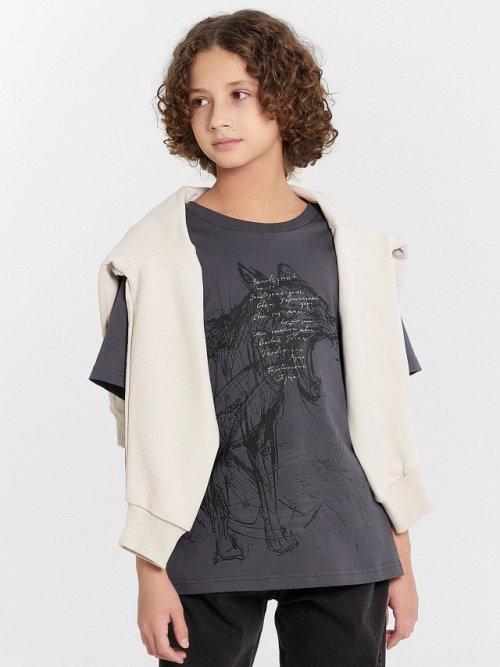 Футболка для мальчиков серая с принтом "Заповедный напев...", фото 1 из 5