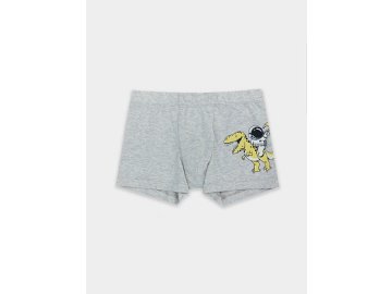 Трусы для мальчиков серые с принтом