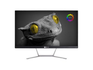 Моноблок ТЕСЛА Z24B 2116500