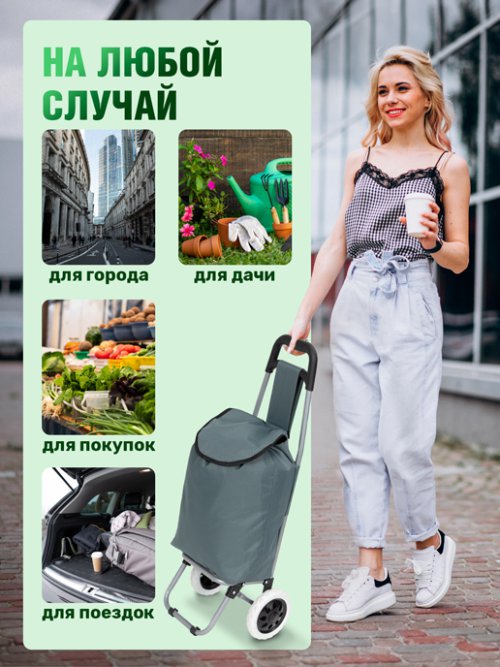 Сумка хозяйственная FST-2, фото 6 из 72